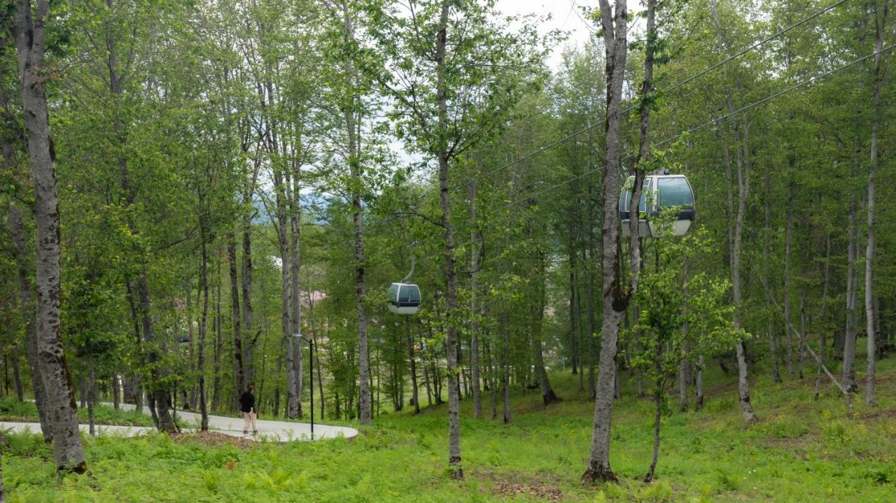 Crystal Town House Villa Bakuriani Eksteriør bilde
