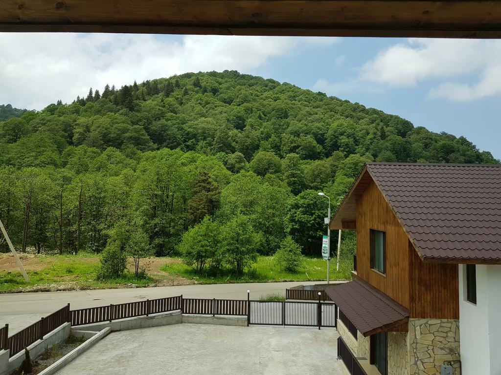 Crystal Town House Villa Bakuriani Eksteriør bilde